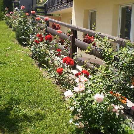 Apartments Vila Velickovic Zlatibor Extérieur photo