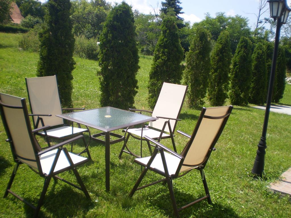 Apartments Vila Velickovic Zlatibor Extérieur photo
