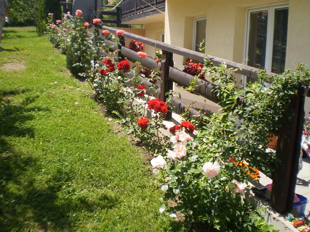 Apartments Vila Velickovic Zlatibor Extérieur photo