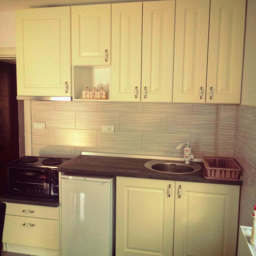 Apartments Vila Velickovic Zlatibor Extérieur photo