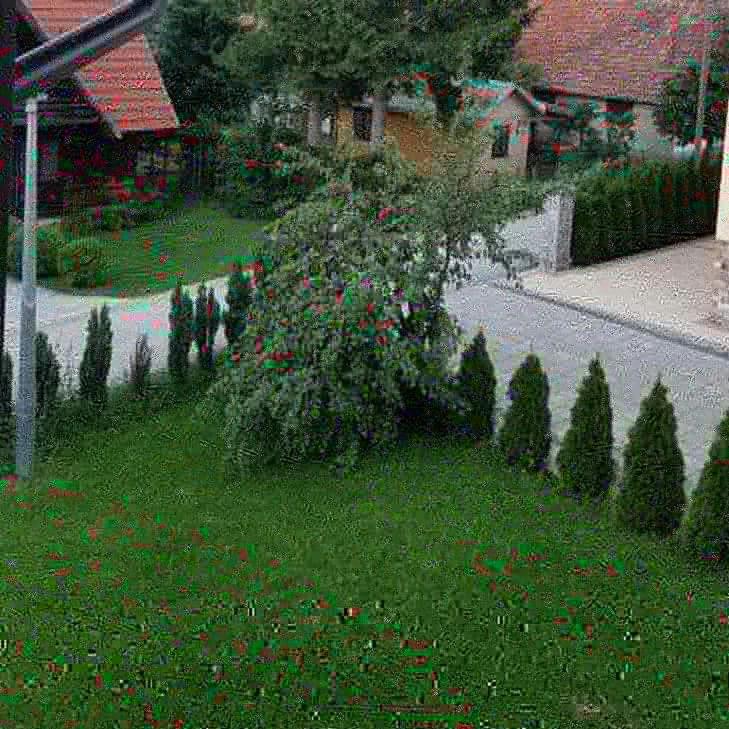 Apartments Vila Velickovic Zlatibor Extérieur photo