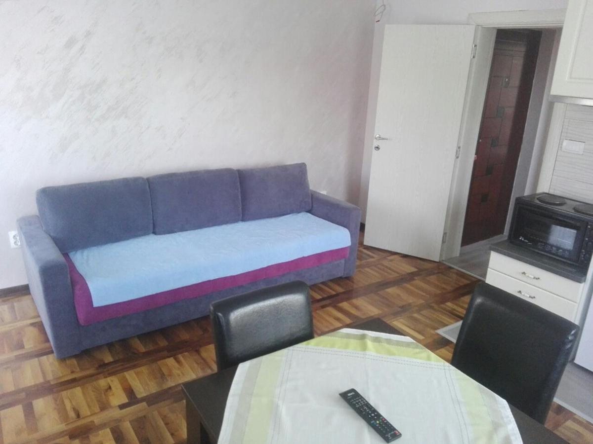 Apartments Vila Velickovic Zlatibor Extérieur photo