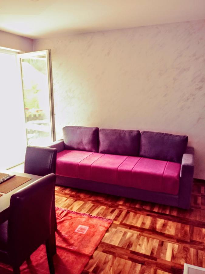 Apartments Vila Velickovic Zlatibor Extérieur photo
